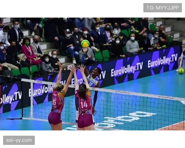 人物聚焦：39岁的博努奇替补登场，完成蒙扎主场告别战